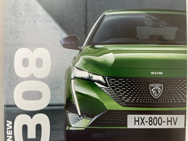 NEW308プレカタログ入荷！