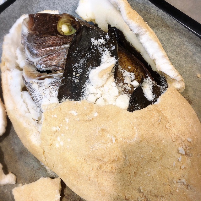 趣味のお話②