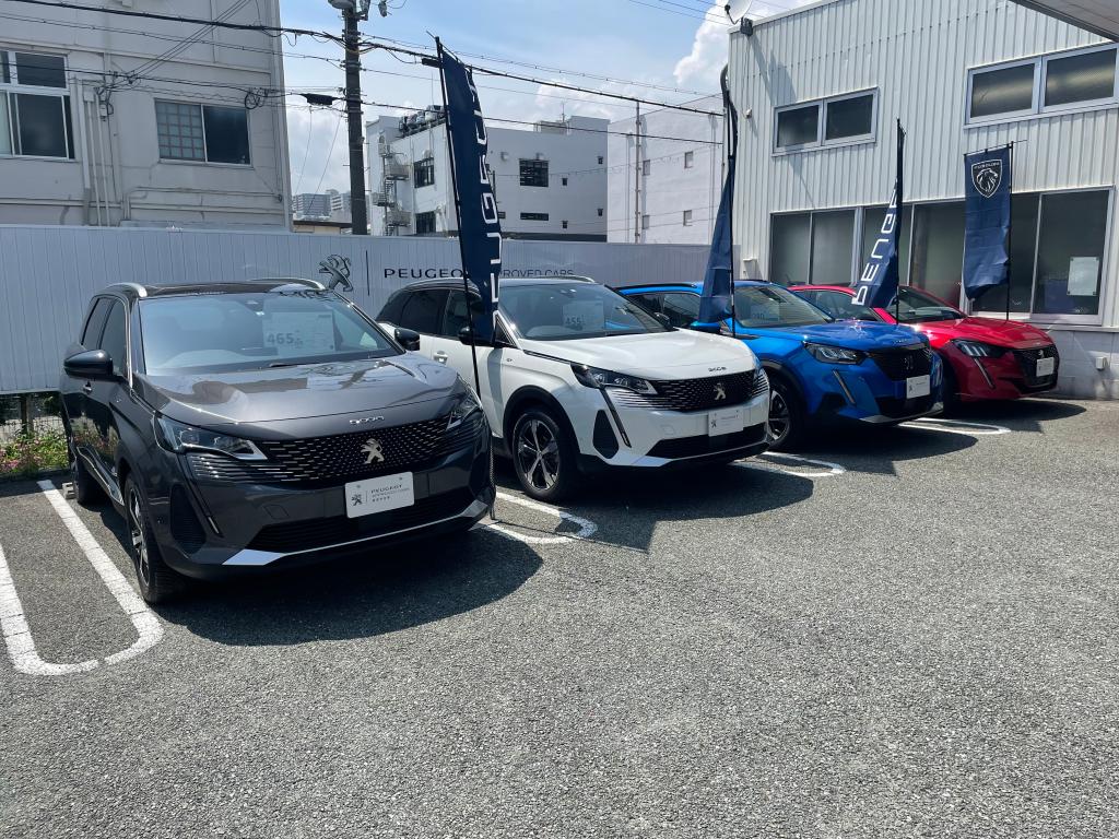 認定中古車フェア