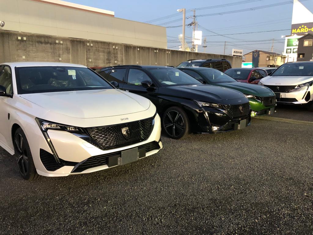 NEW308続々入荷中！！