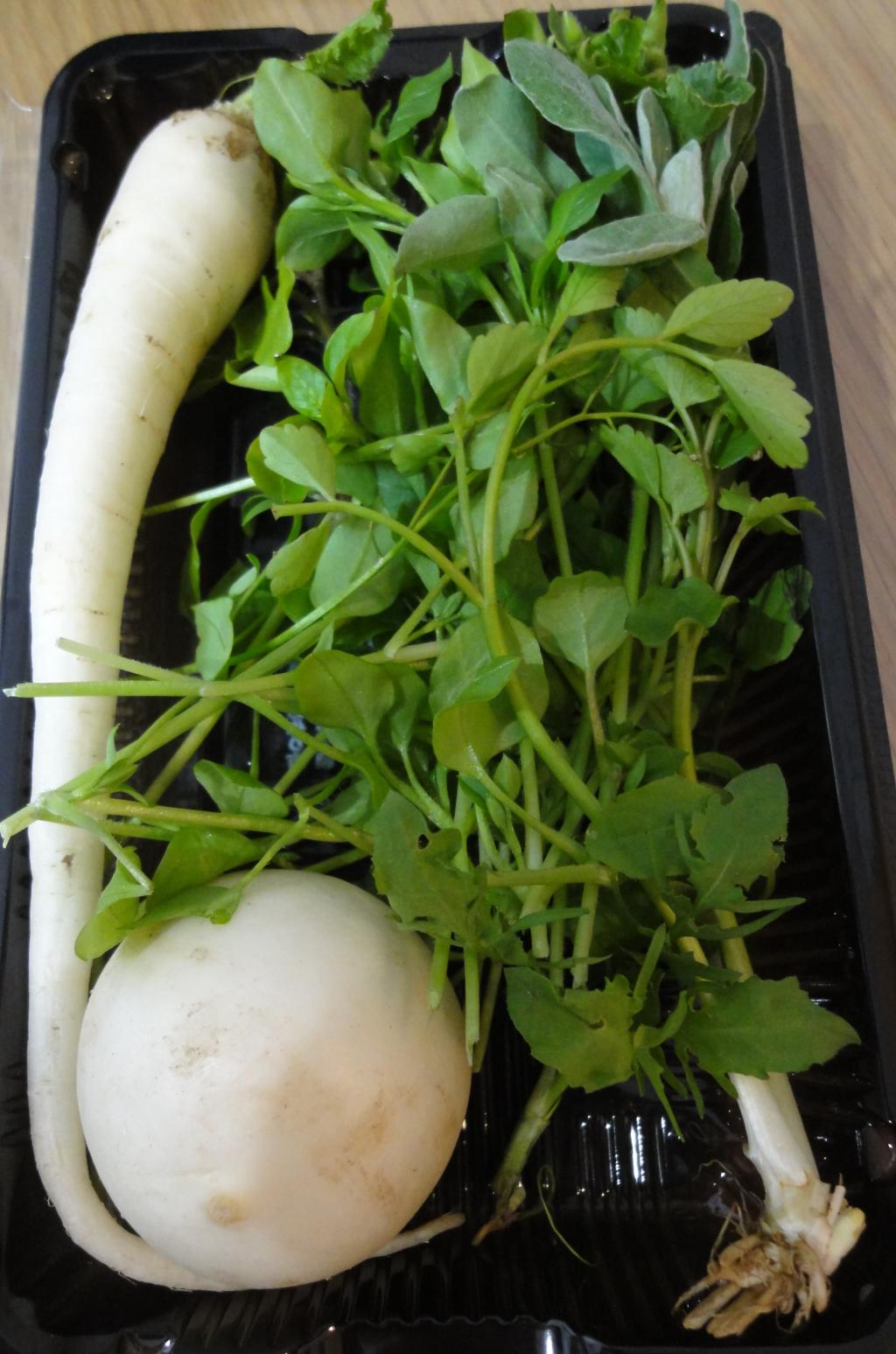 あけましておめでとうございます