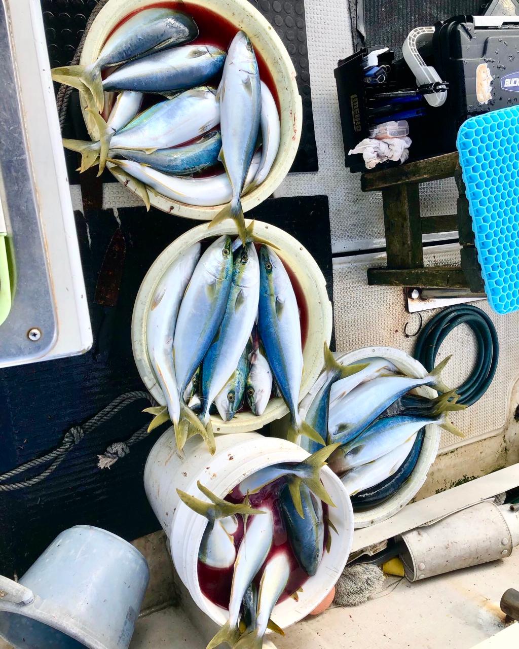 明けましておめでとうございます！