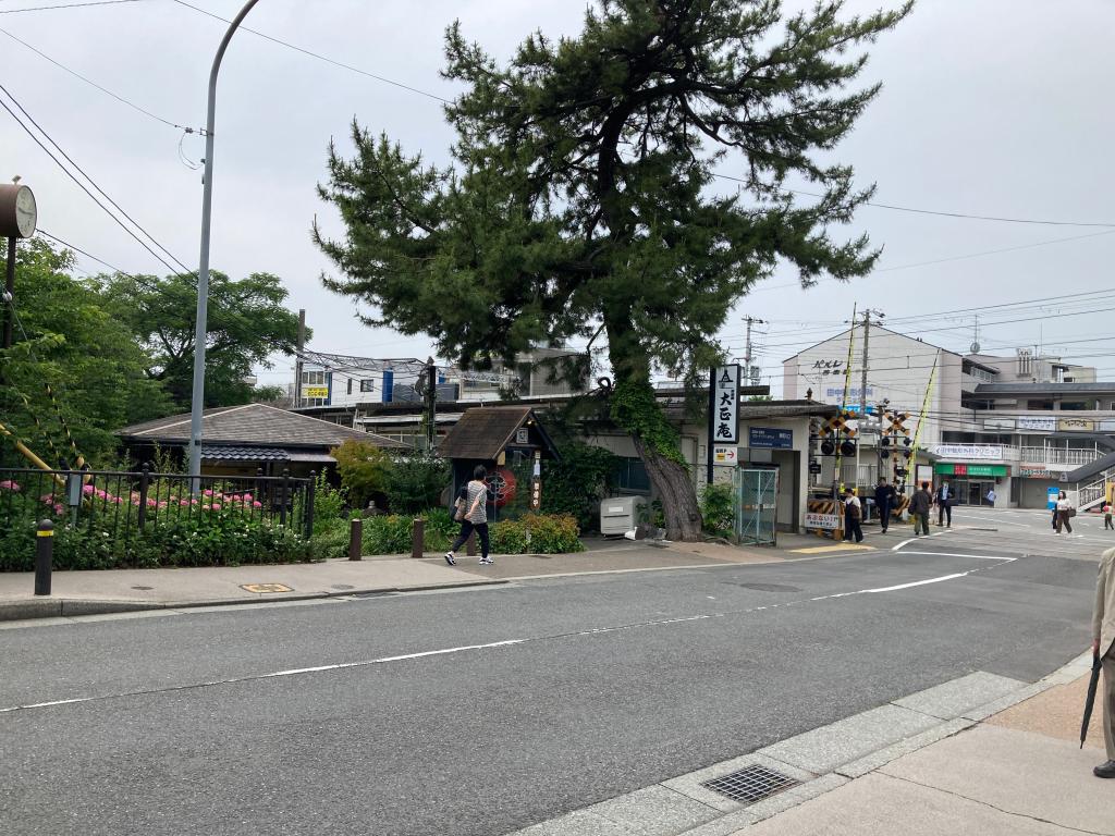 6月の近隣観光スポット