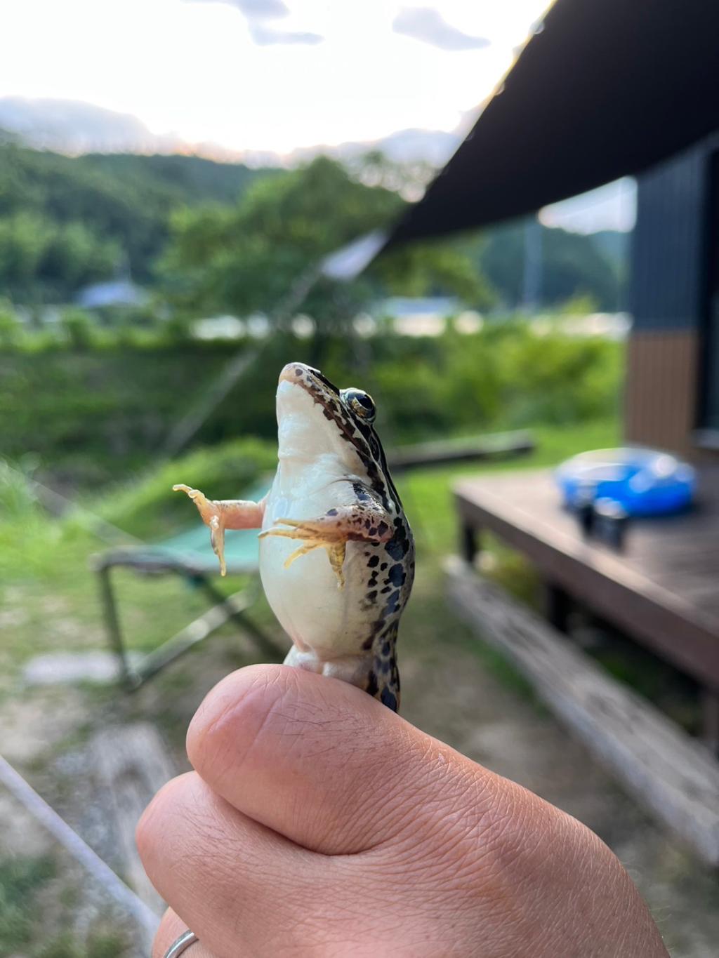 夏のお出かけ