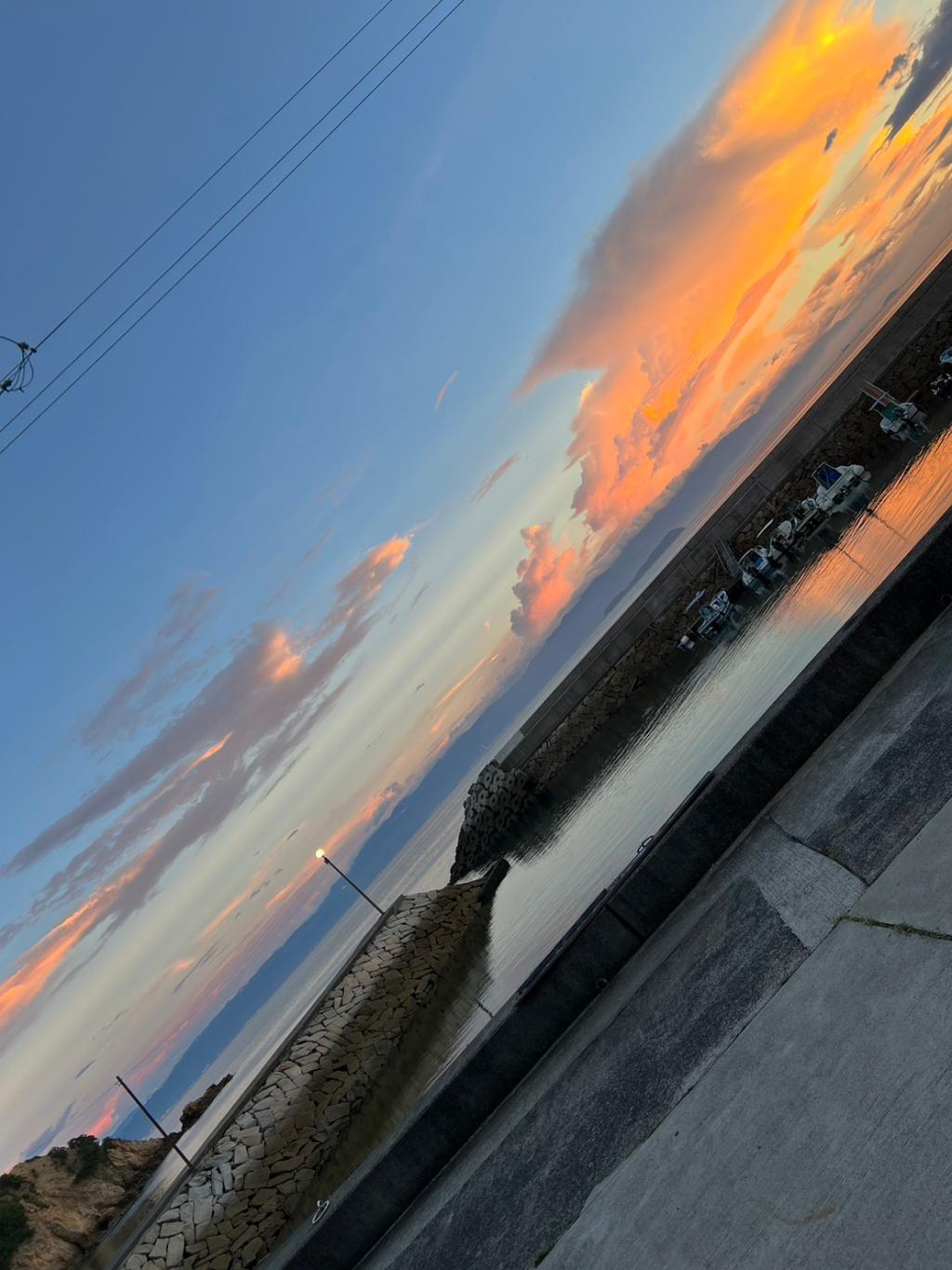 夏の終わり＆フェア情報