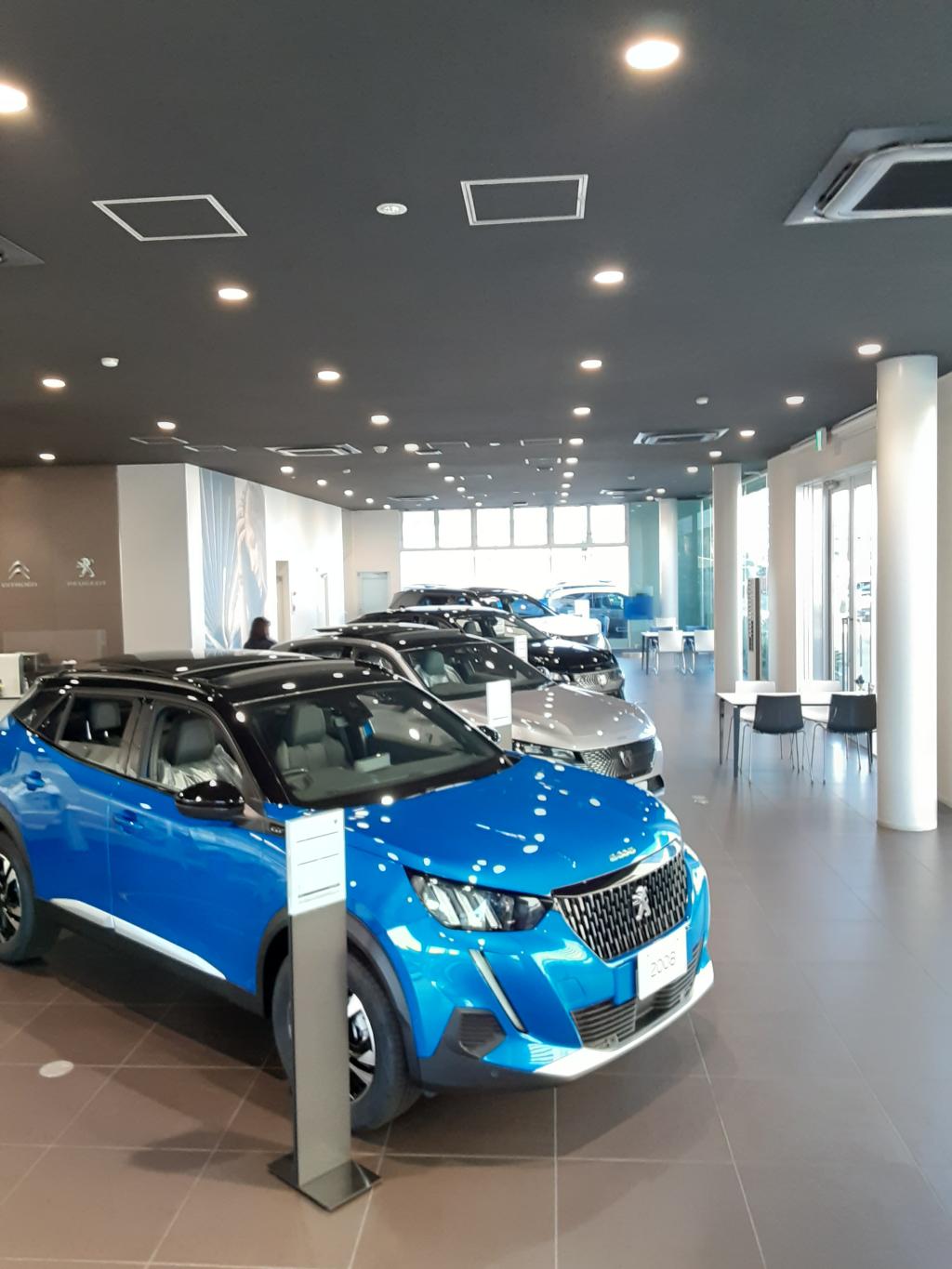 展示車入替ました！