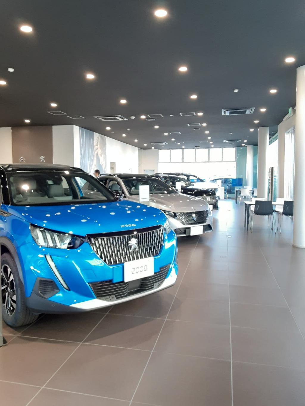 展示車入替ました！