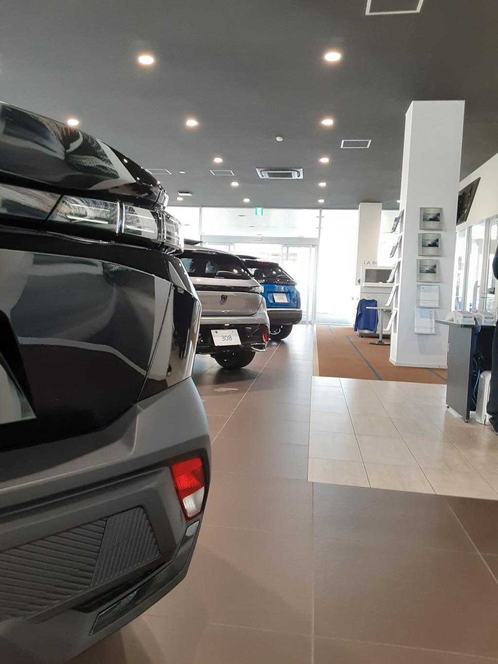 展示車入替ました！