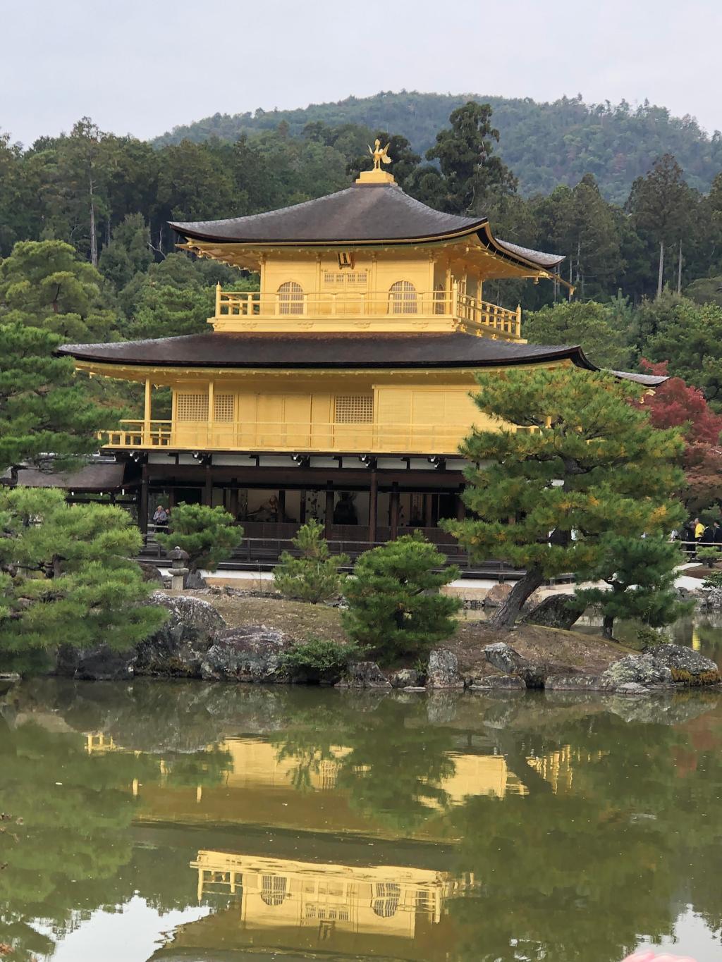 秋はまだかな？で、突然冬が来た。