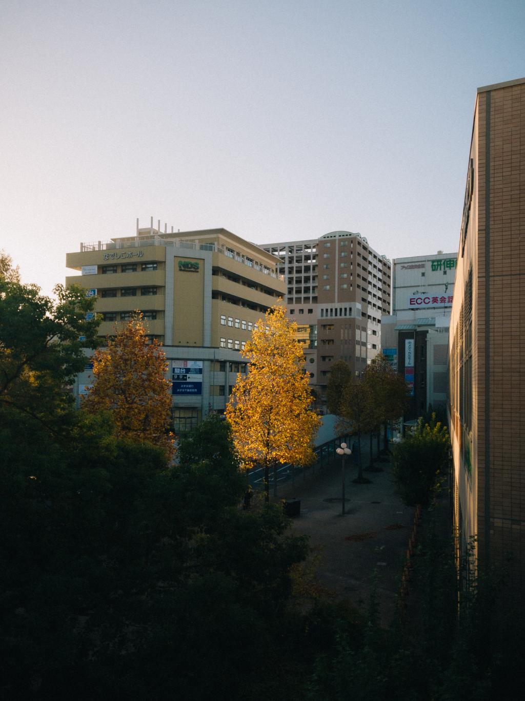 晩秋の西宮