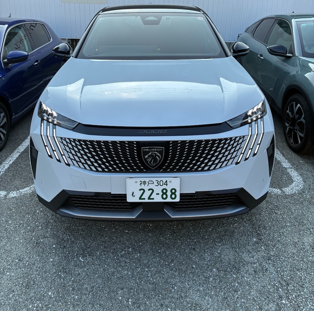 NEW 3008 　オケナイトホワイト