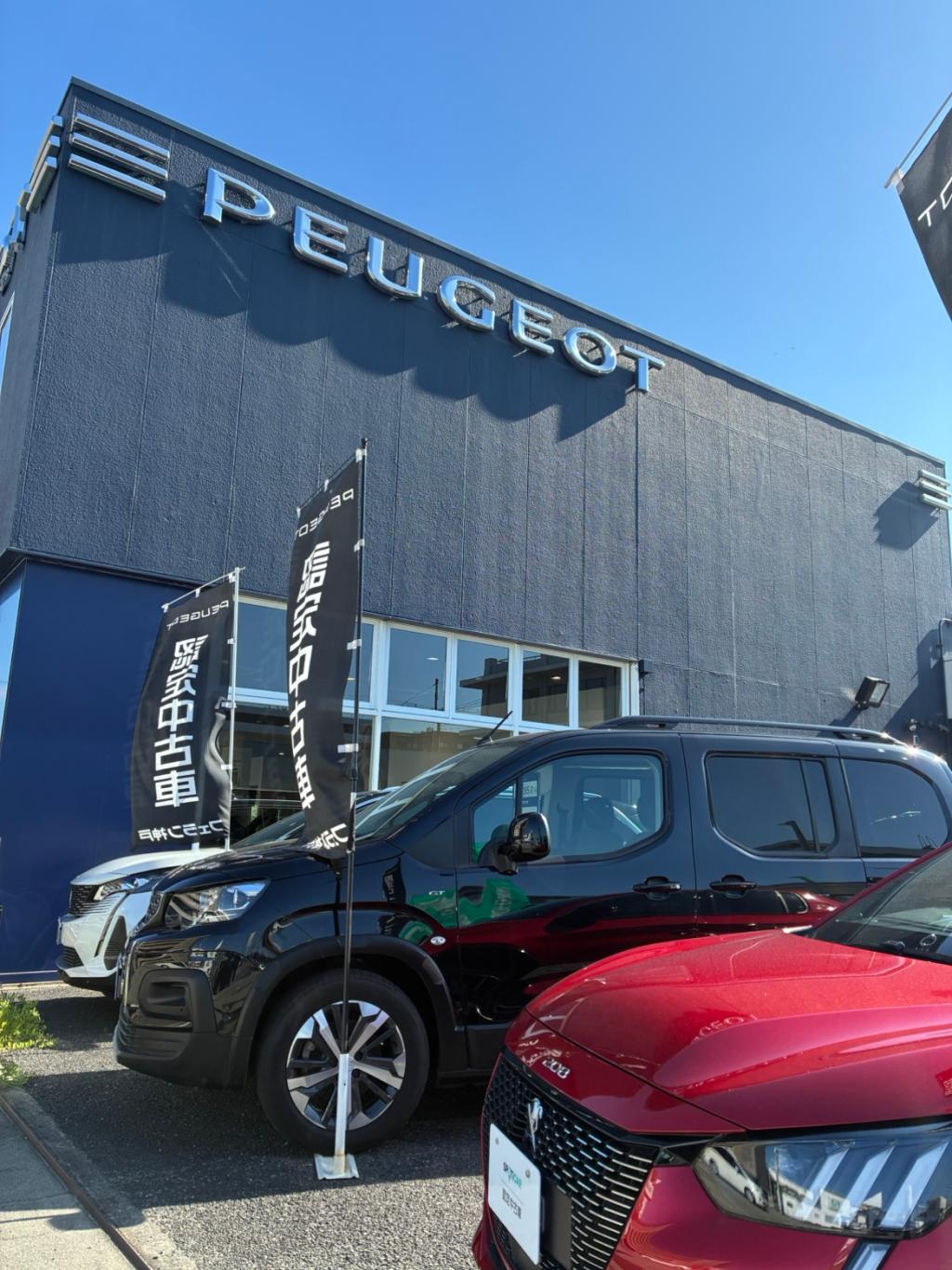 認定中古車フェアー開催 !!!