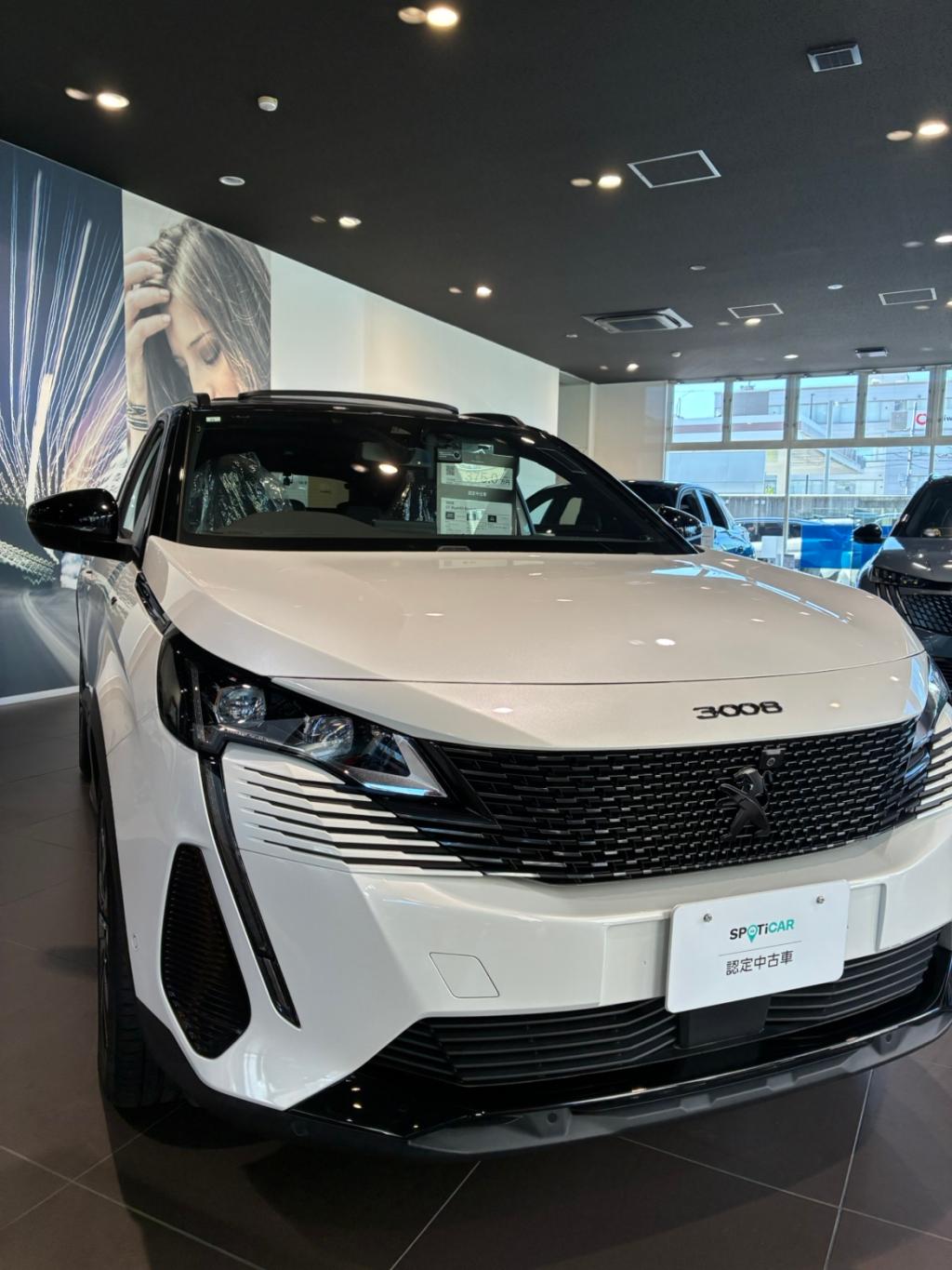 認定中古車フェアー開催 !!!